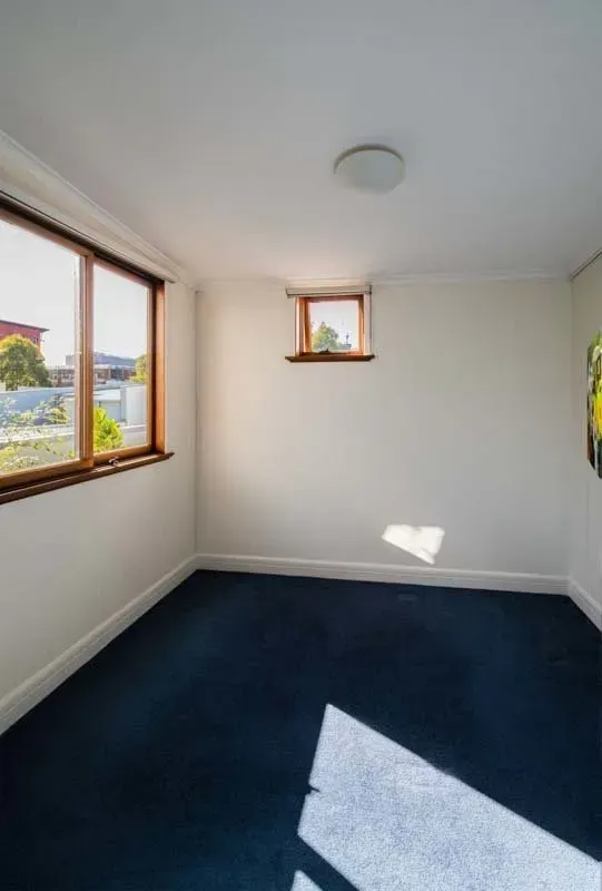Empty room with blue carpet, two windows, and a white ceiling. Sunlight streams in.