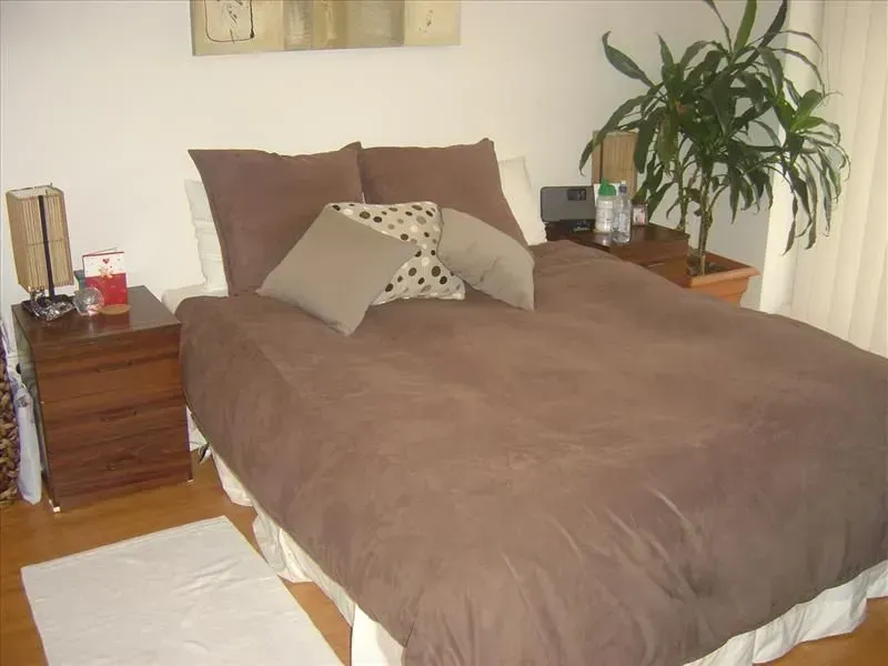 Bedroom with brown bedding, bedside tables, and a potted plant.