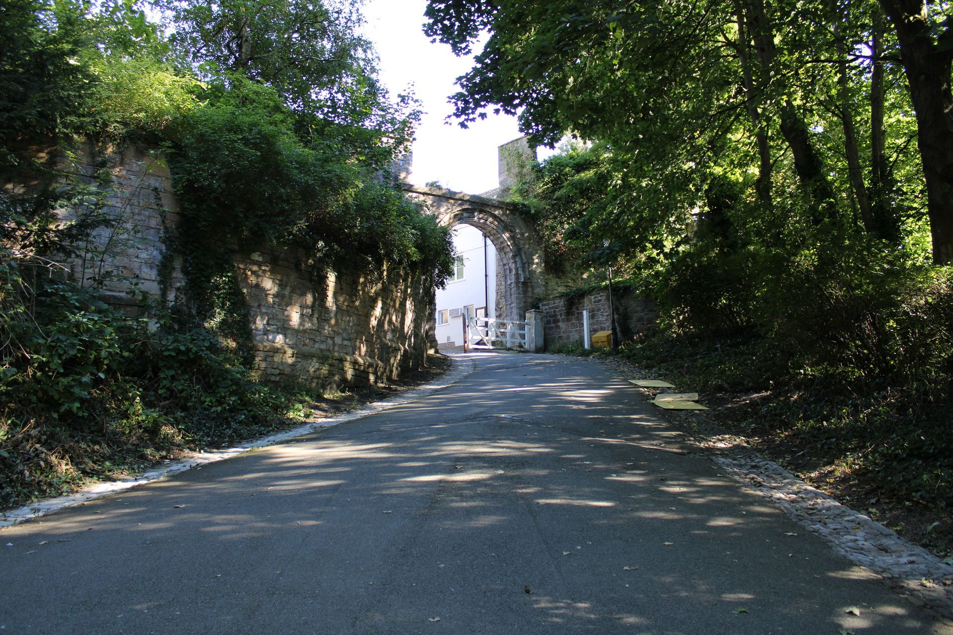 Shaded dirt road leading to a white building, lined with trees and overgrown greenery