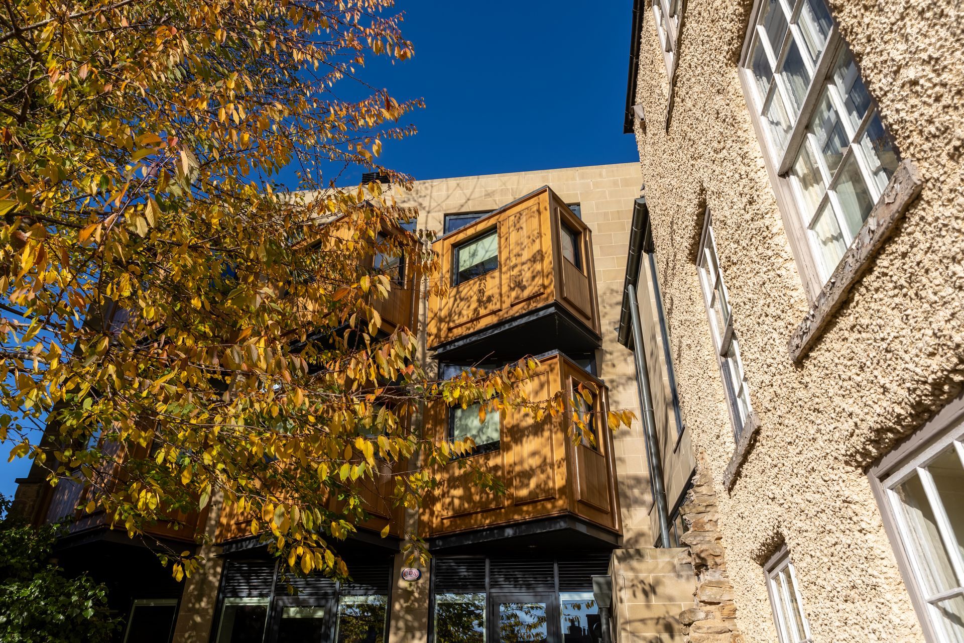 Stone building courtyard with autumn tree and blue sky