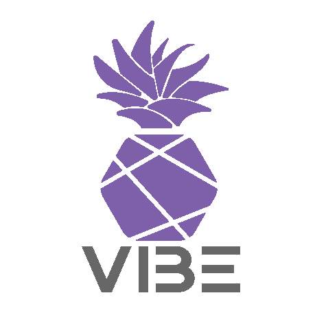 VIBE Event Rentals