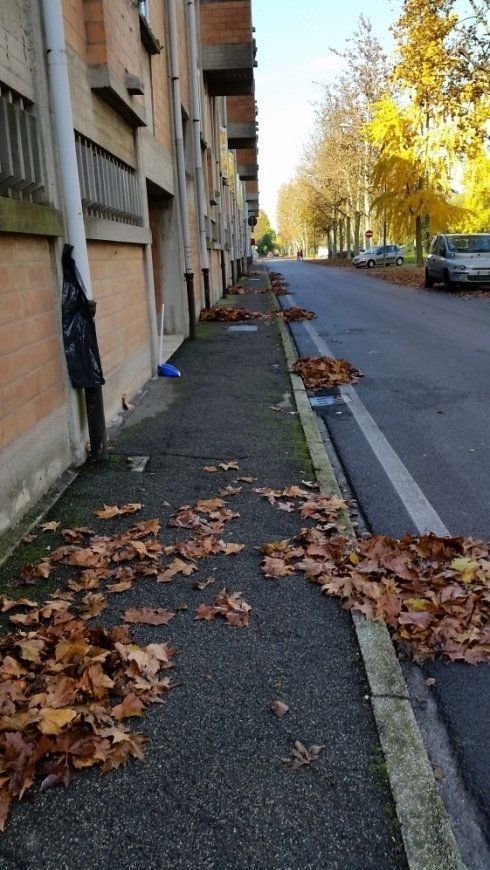 Pulizia spazi esterni condominio