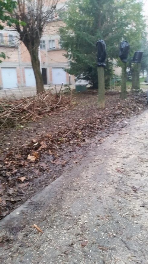 Pulizia verde spazio condominiale