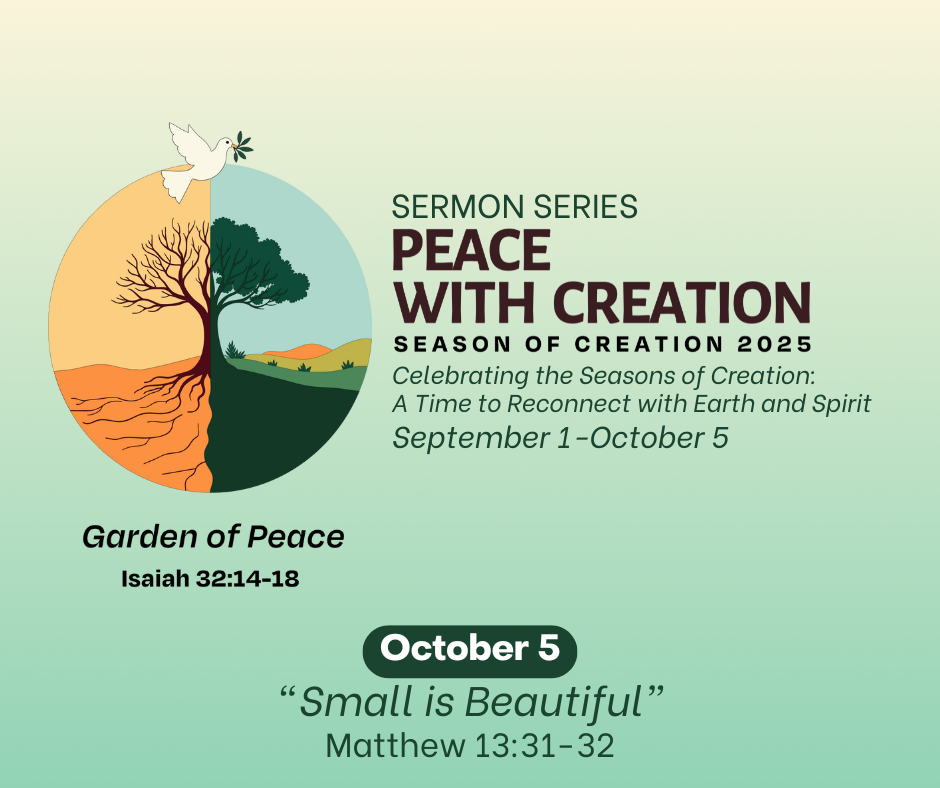Peace with Creation Part 5: Small is Beautiful | Matthew 13:31-32 ...