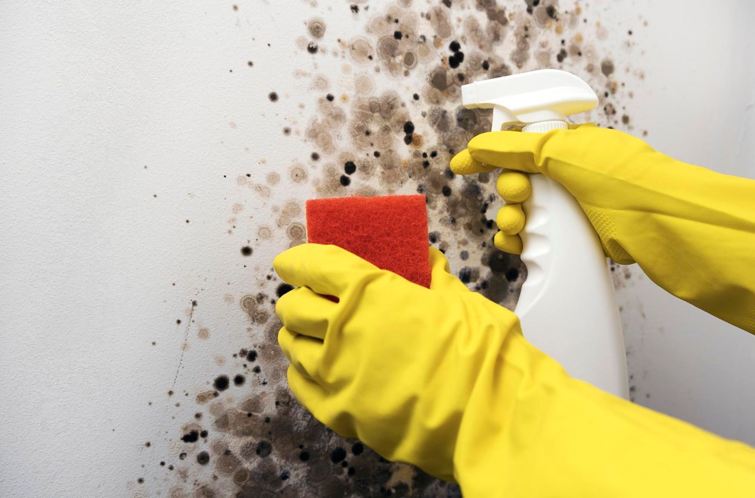 A person wearing yellow gloves is cleaning a wall with a spray bottle and a sponge.