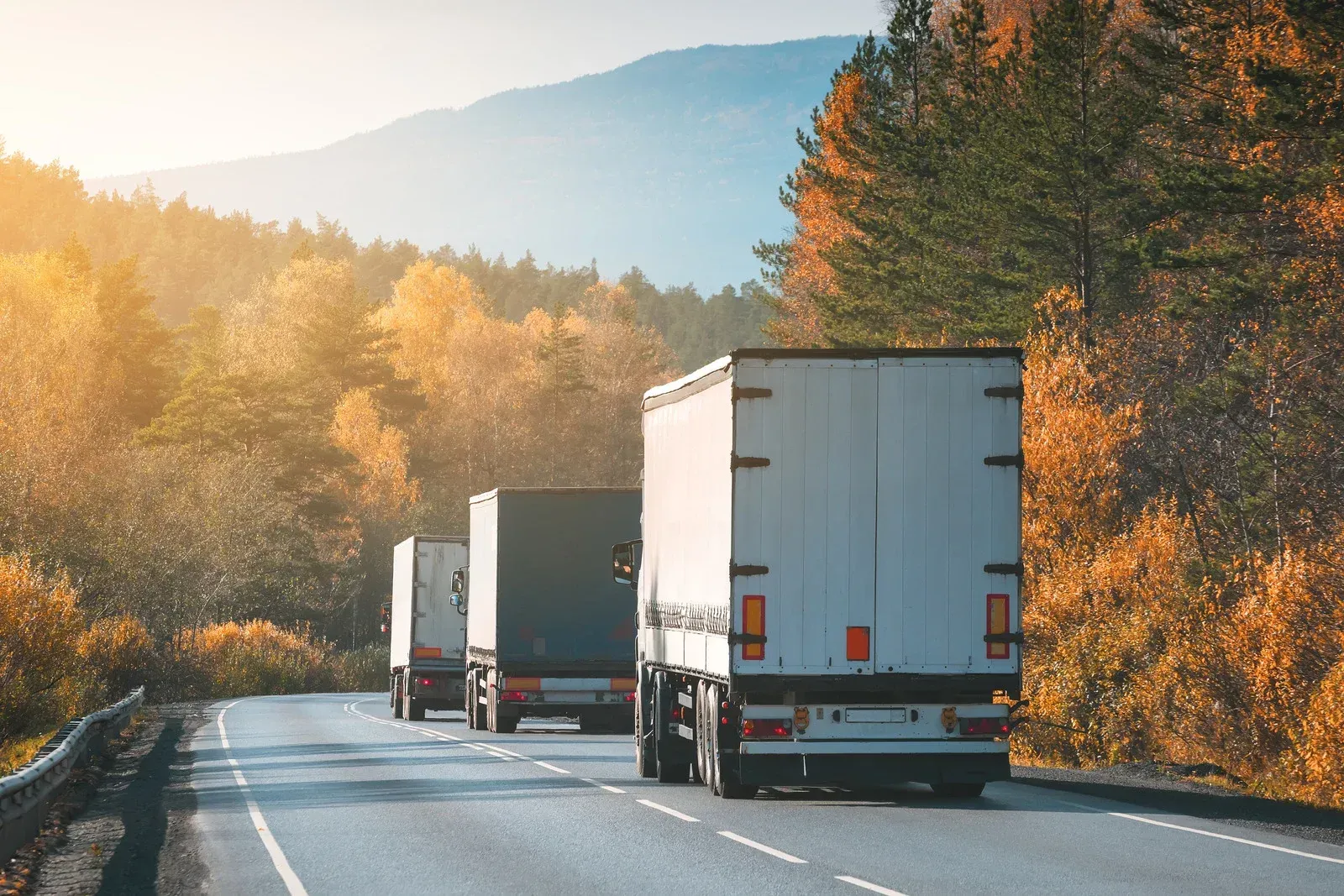 Three semi-trucks driving on a curved road through a forest in autumn.