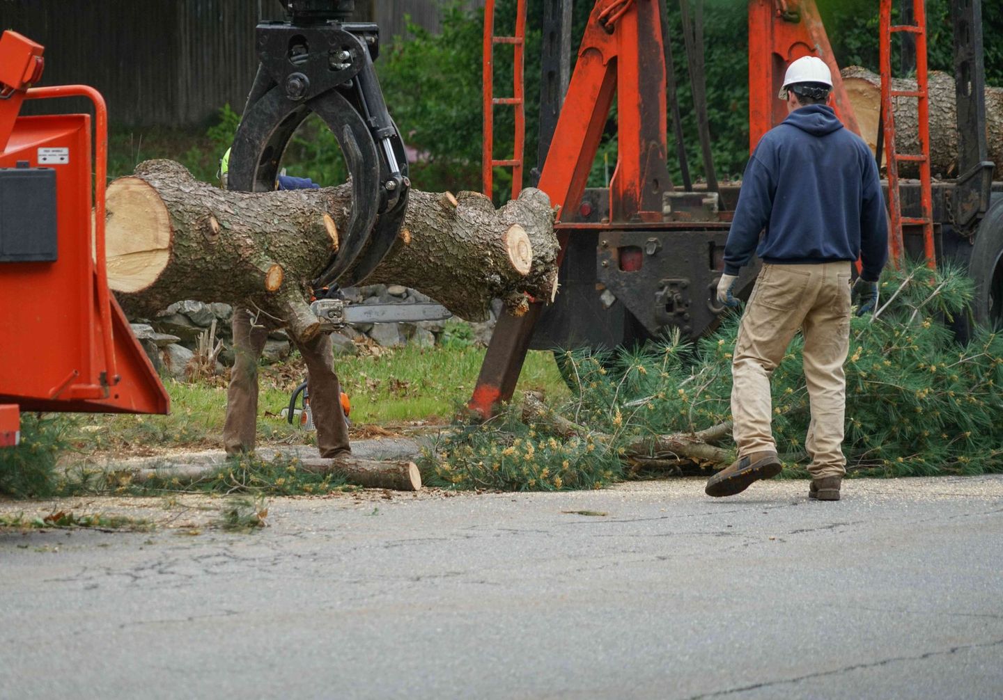 a man is standing in front of a machine that is cutting a tree