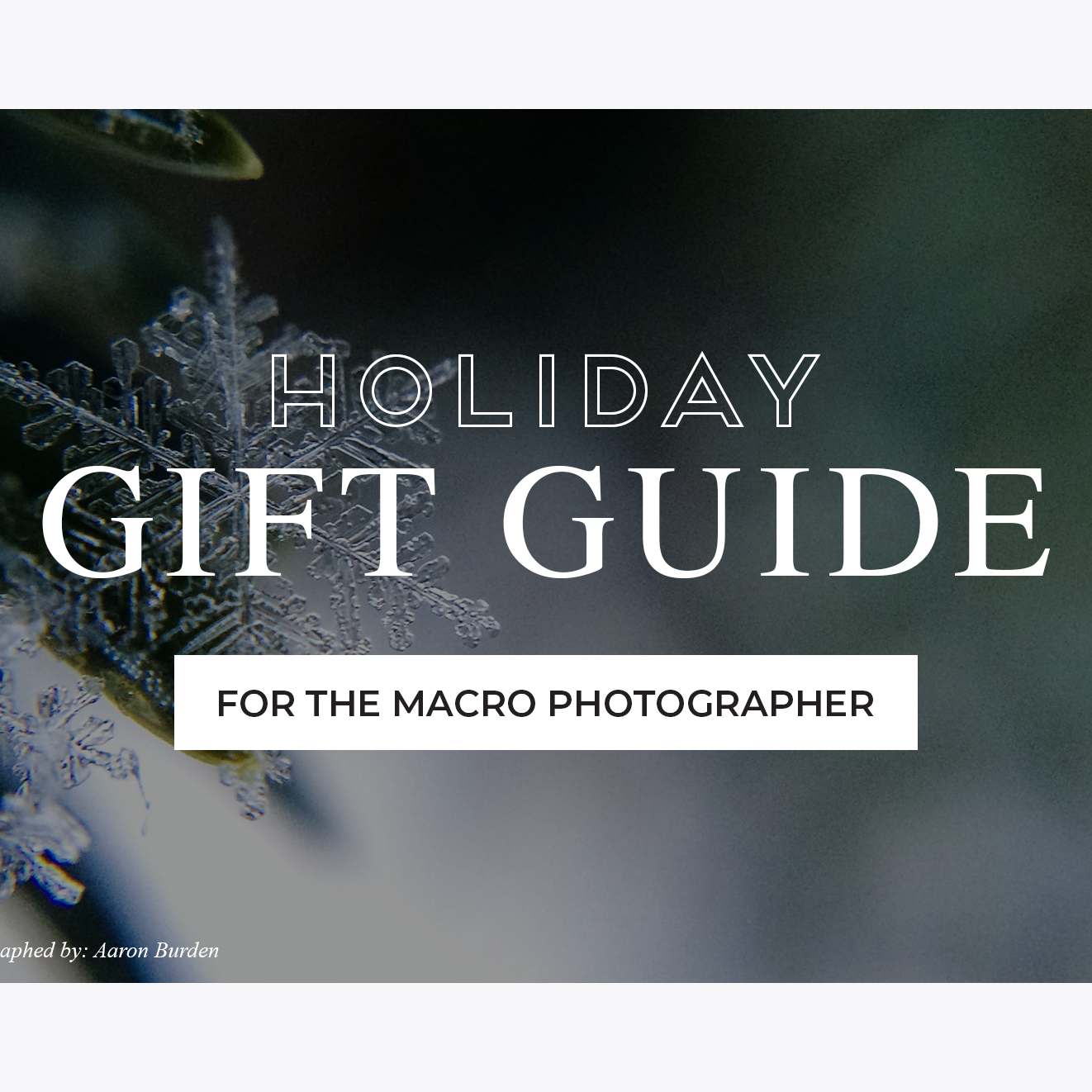 Holiday Gift Guide For The Macro Photographer