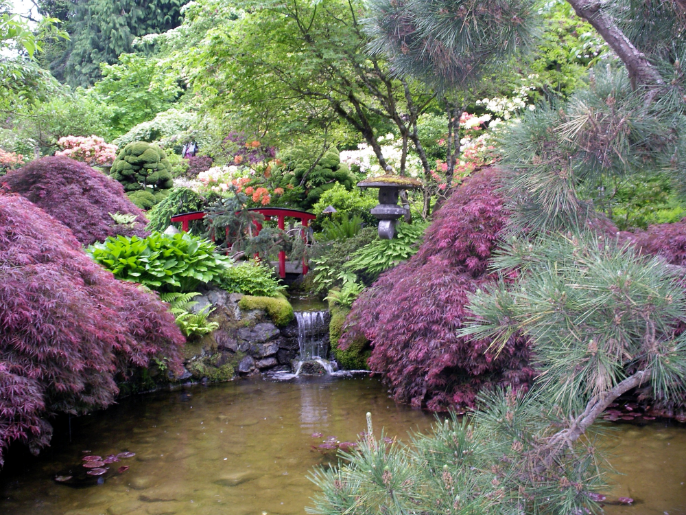 Colorful Garden Landscape Design