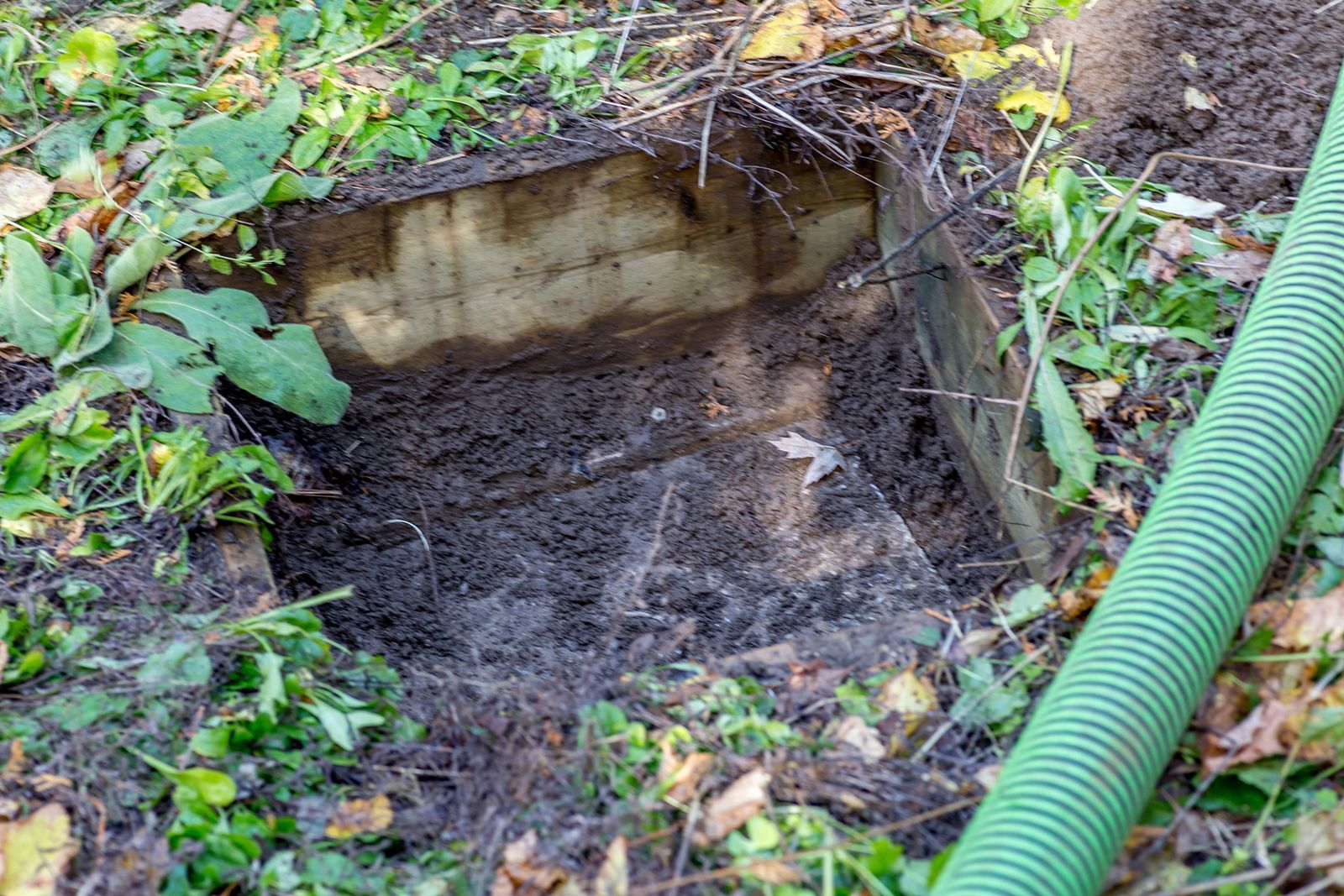 Un agujero rectangular en el suelo con lados de madera, rodeado de césped y una manguera corrugada verde.