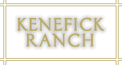 KeneFick Ranch logo in gold with a white background and a gold border.