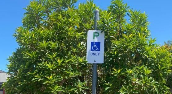 A Handicapped Parking Sign is Sitting in Front of a Tree — Global Signage In Ingham, QLD