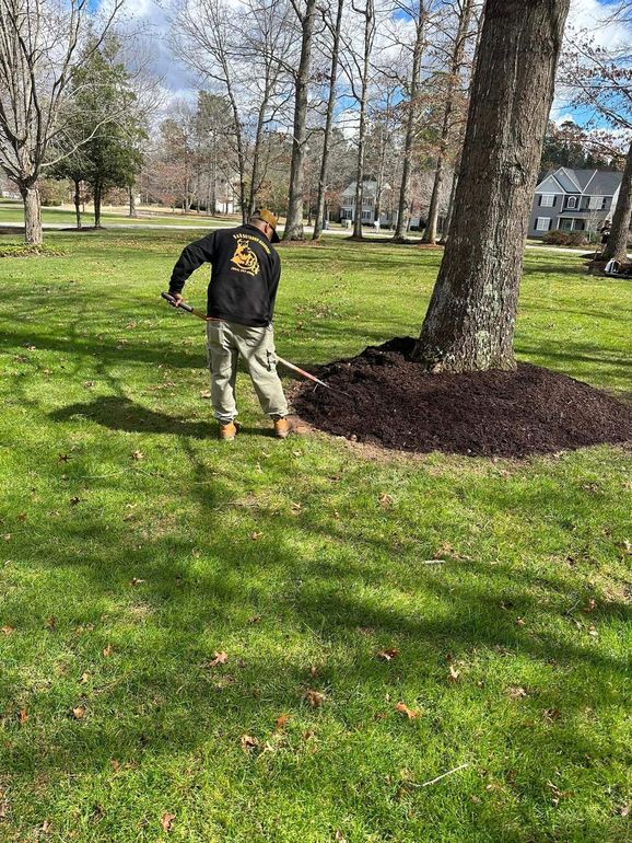 fresh mulching, edging, lawn care, landscaping, landscape designers chesterfield va