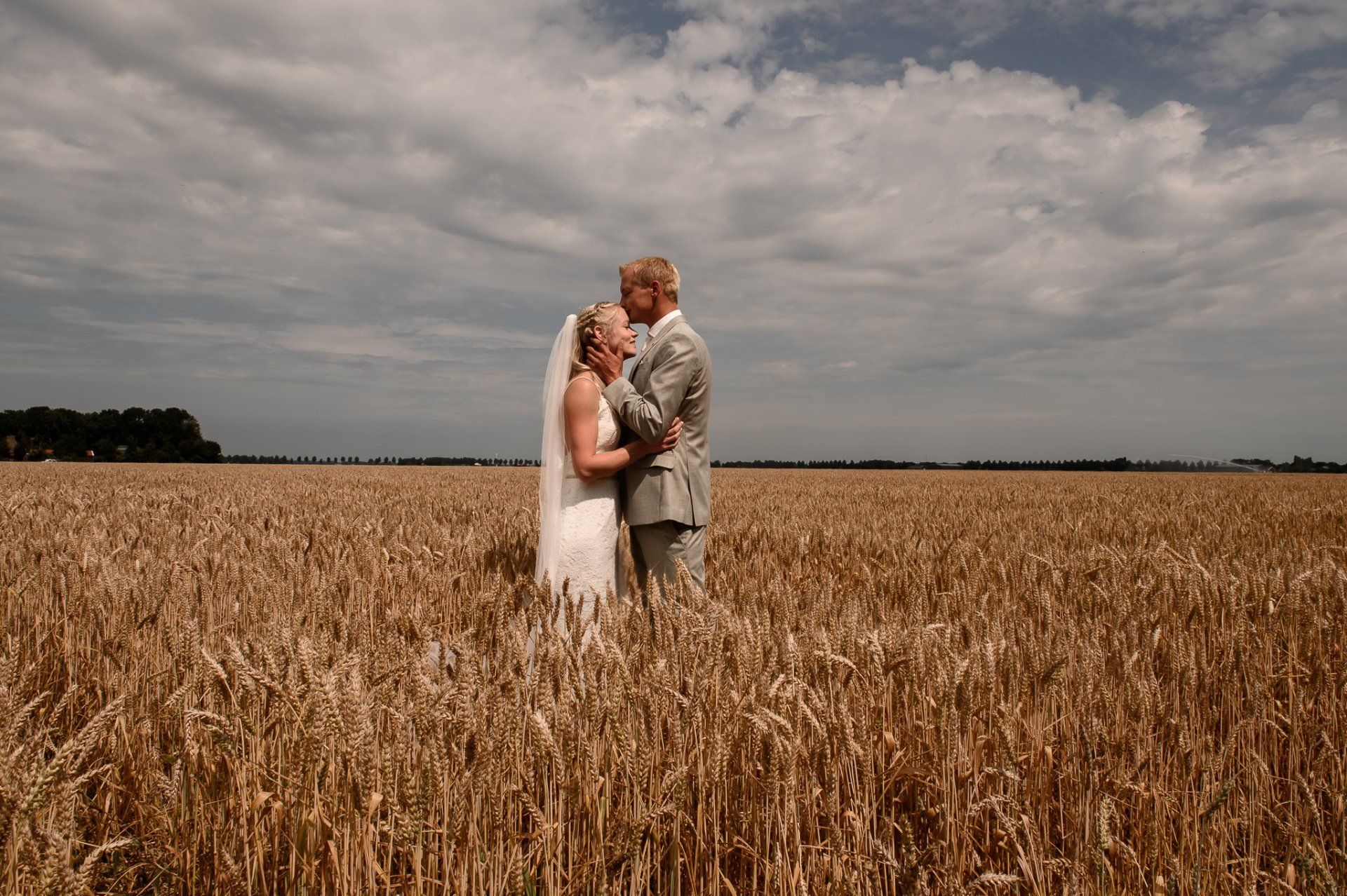 Een bruid en bruidegom staan in een korenveld.
