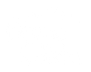 Bruno MN Costa