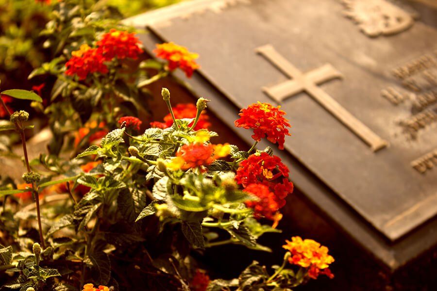 Kapu labiekārtošana