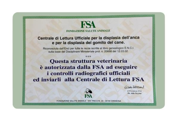 radiologia digitale