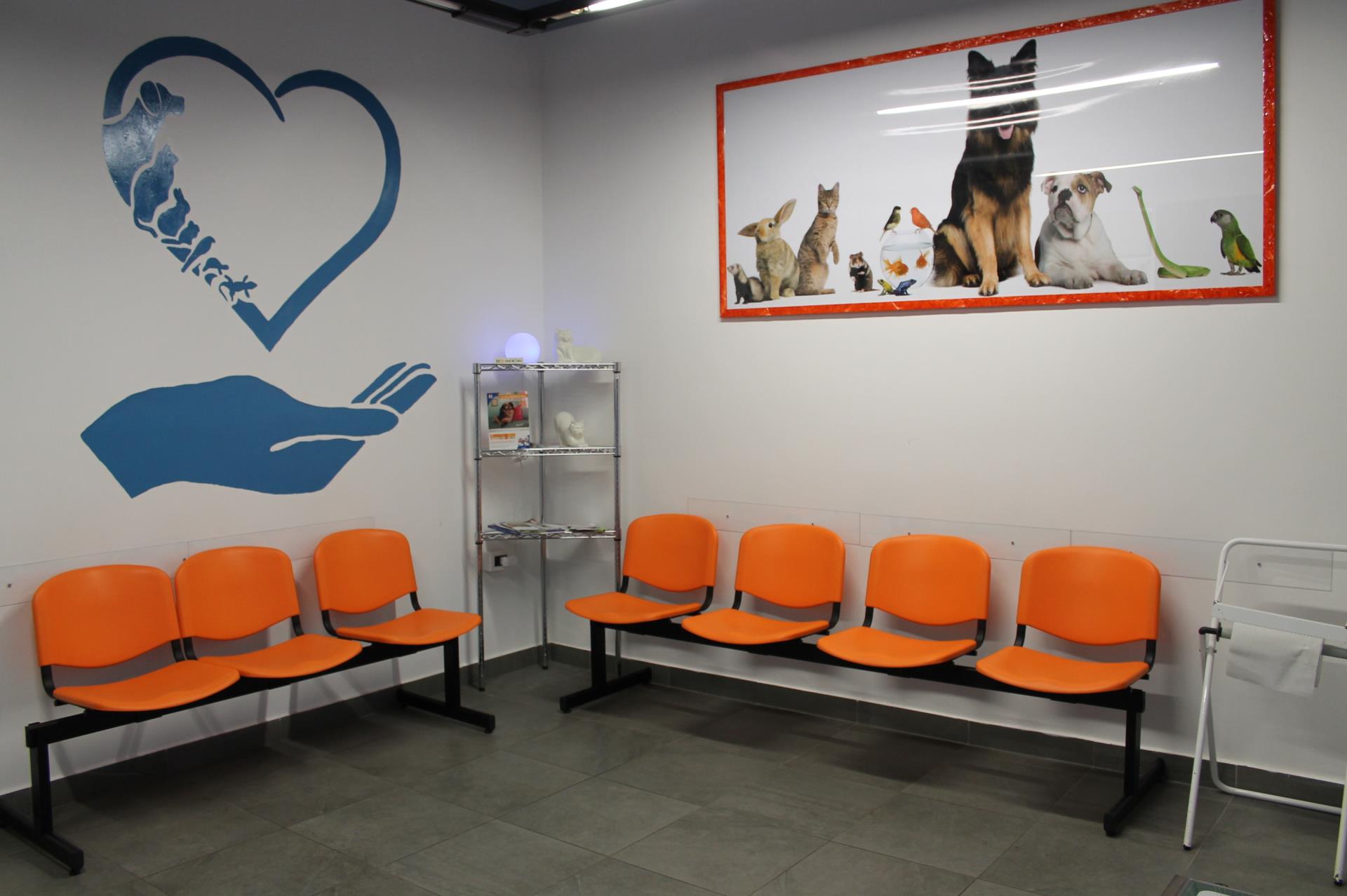sala d'attesa di un ambulatorio veterinario