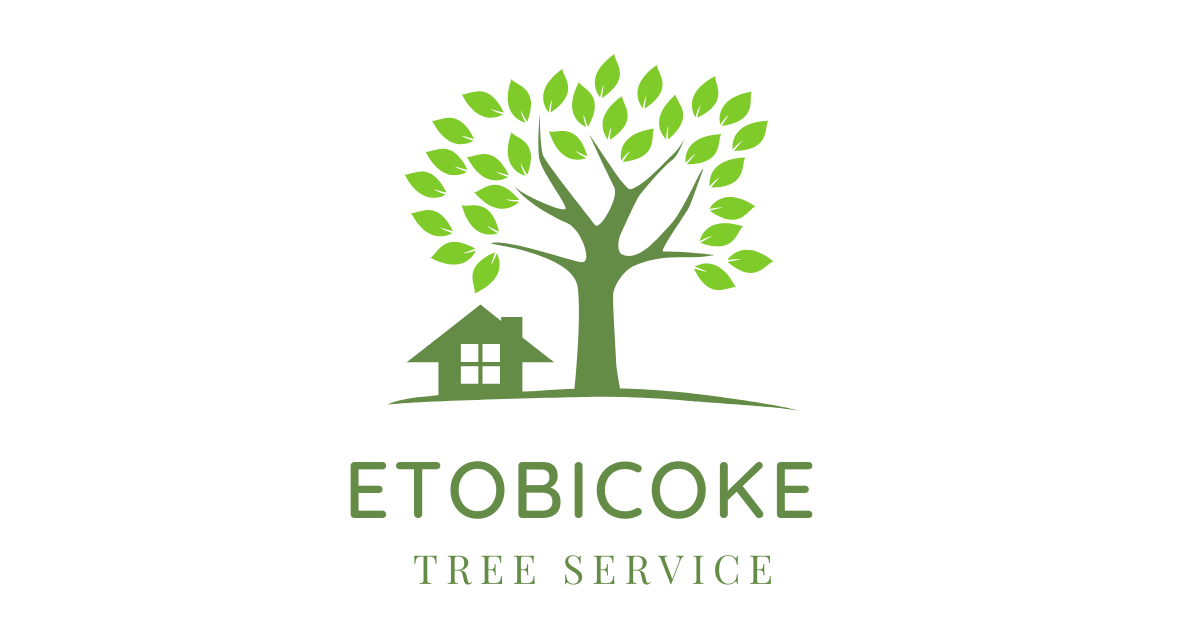 Etobicoke Tree Service Tree Removal in Etobicoke ON