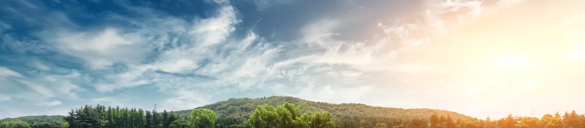 Clouds in Sky with Mountains and Forest | DMR Diesel Repair, Inc