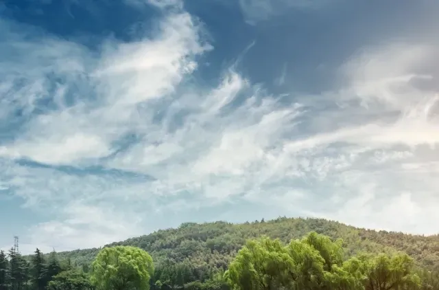 Clouds in Sky with Mountains and Forest | DMR Diesel Repair, Inc