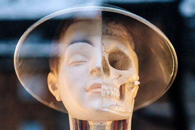 A statue of a woman 's head with a skull on it.