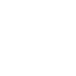 A white background with a few lines on it