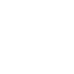 A white background with a few lines on it