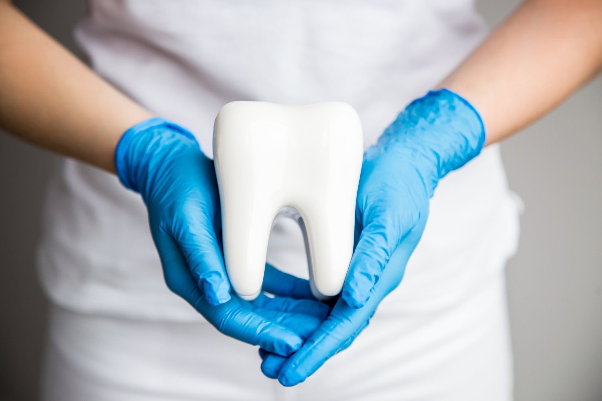 A dentist is holding a model of a tooth in her hands.