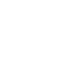 A white background with a few lines on it