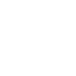 A white background with a few lines on it