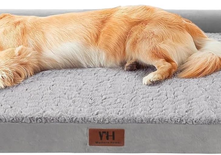Golden retriever dog resting on a gray plush dog bed