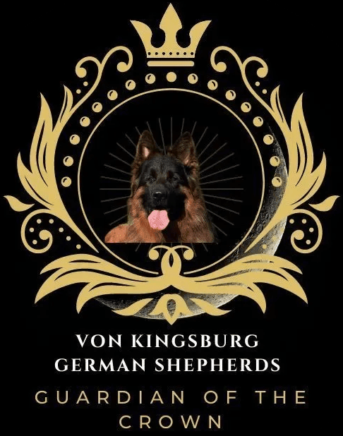 Von Kingsburg Shepherds