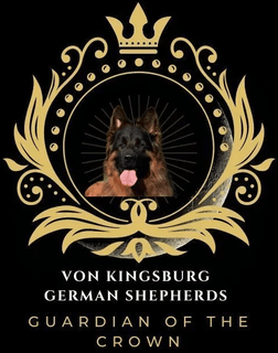 Von Kingsburg Shepherds