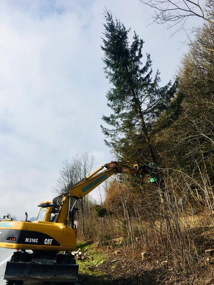 Rodung entlang der Straße in Wörgl