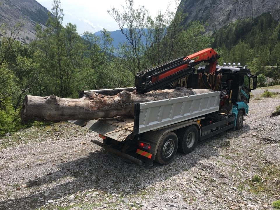 Rodungen im Unterinntal