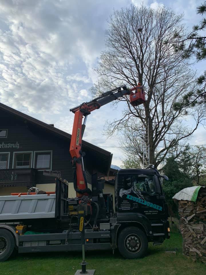 kranarbeiten baumschnitt tirol