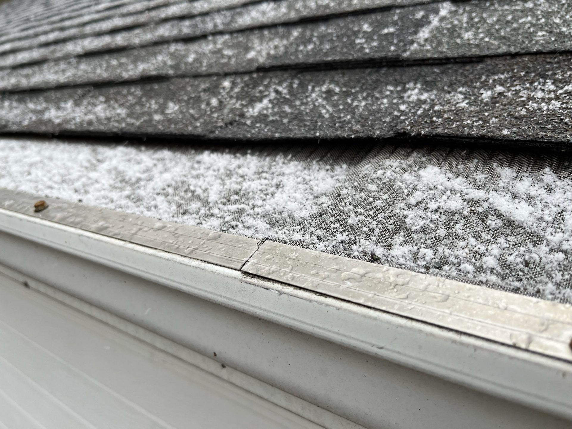 If your gutters have had previous issues clogs, January is the perfect time of year to get guards.