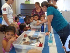 Blue Sumarine — Children's Center in Lakewood,, CA