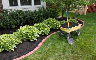 Landscape Contractor — Newly Landscape Garden in Dawsonville, GA
