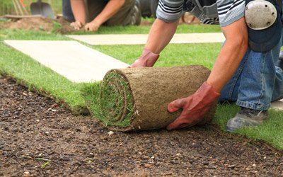 Grass — Layering Grass in Dawsonville, GA