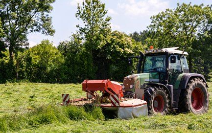 Bush Hogging — Tractor Clear Bushes in Dawsonville, GA Bush Hogging — Tractor Clear Bushes in Dawsonville, GA