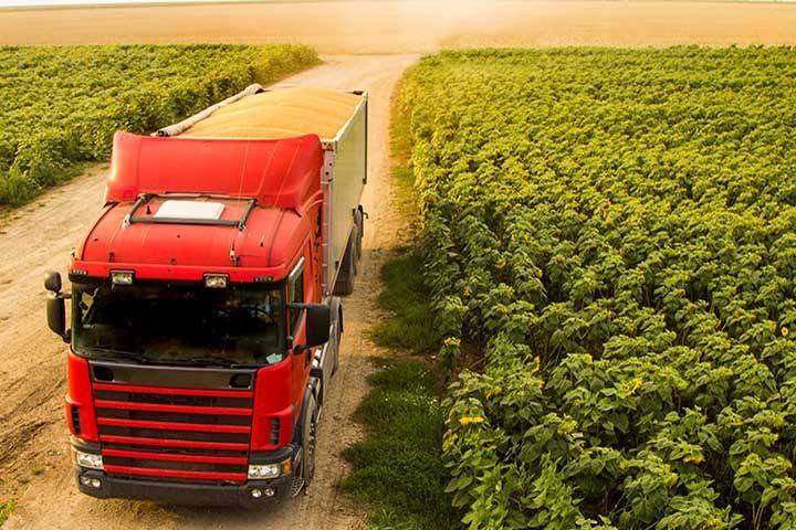 truck full of grain arriving at destination in a country road in a field of sunflower
