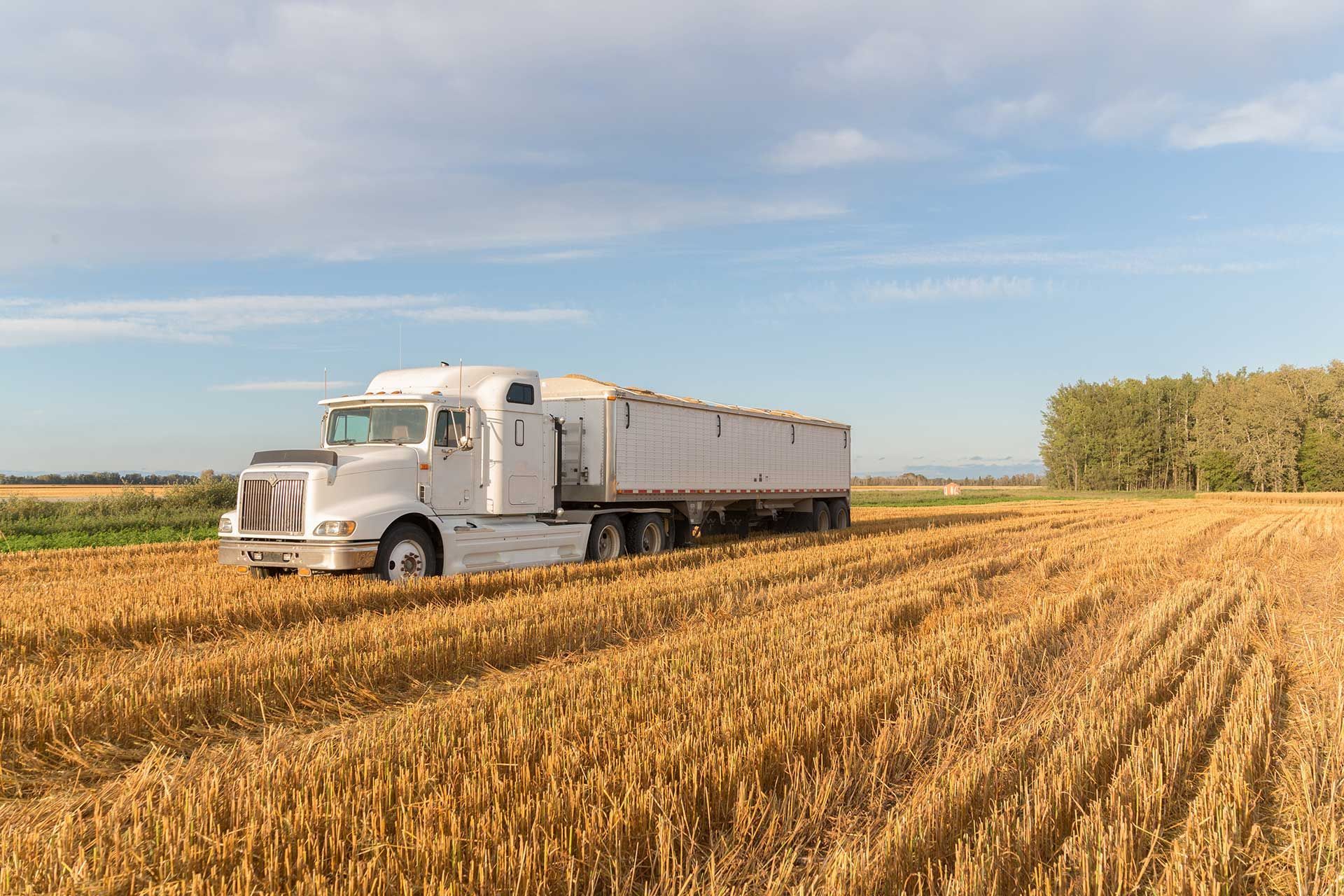 a white semi truck sitting in a grain field