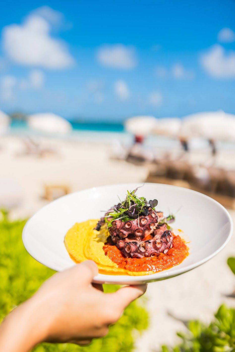 Gallery of pictures Coco Beach Restaurant