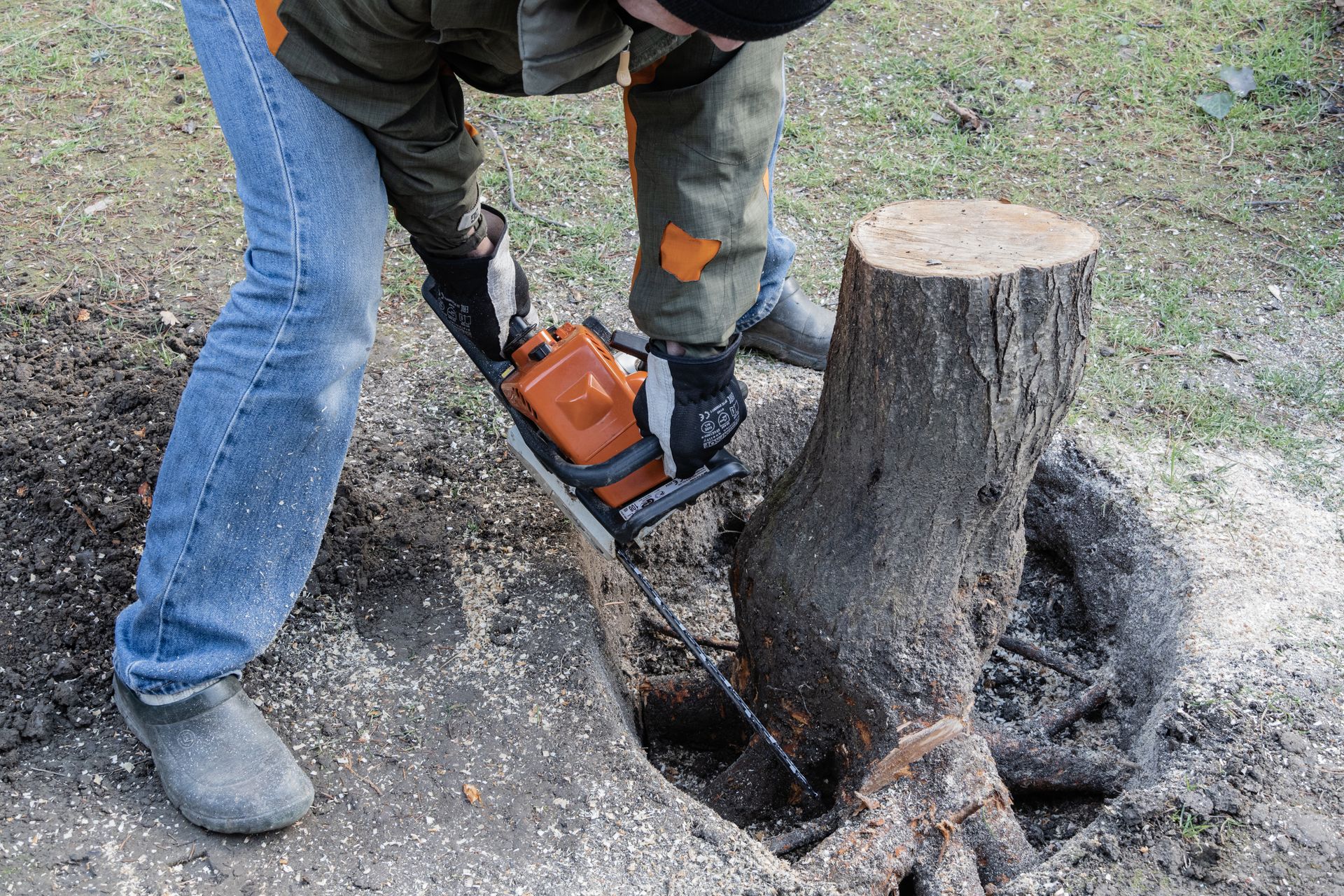A man is cutting a tree stump with a chainsaw.