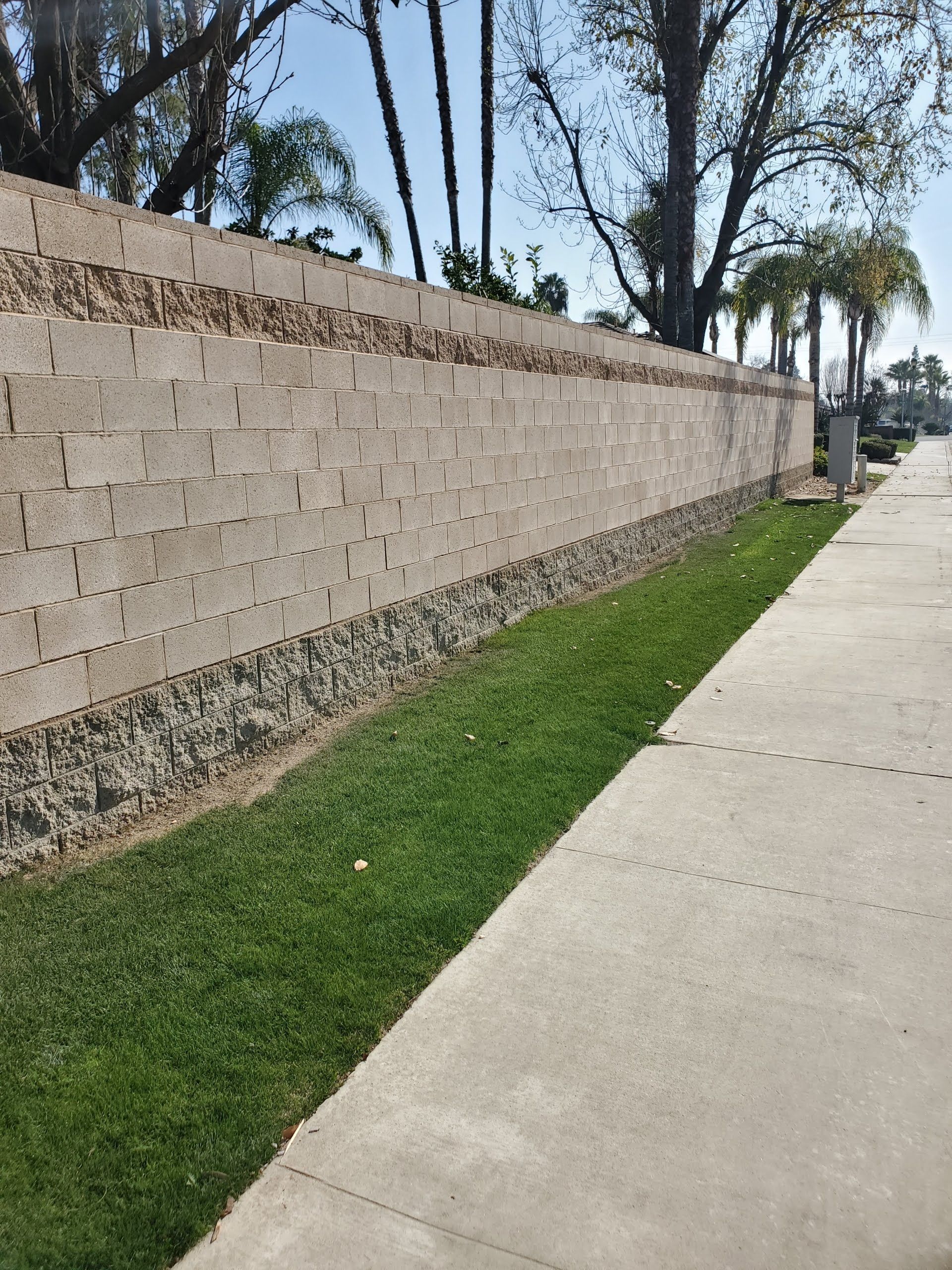 A sidewalk next to a brick wall with trees in the background