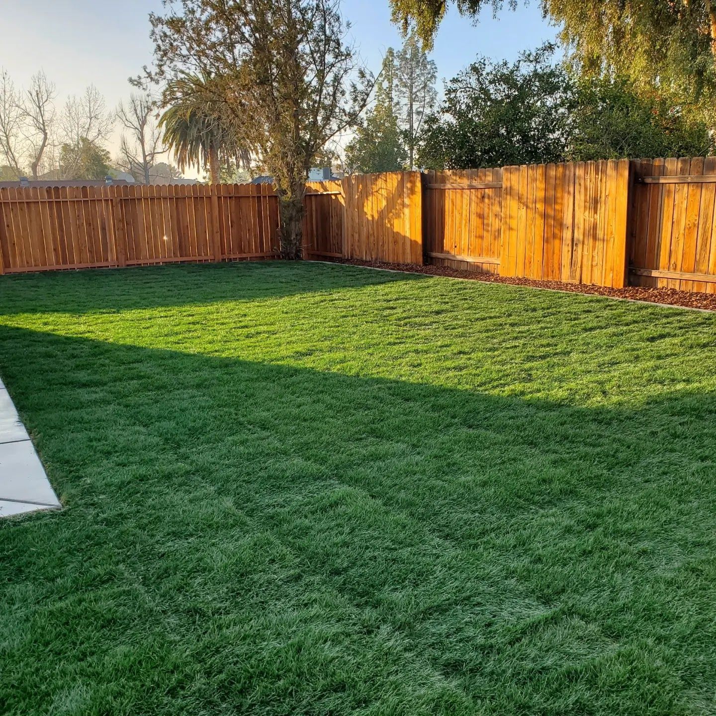 A backyard with a wooden fence and a lot of grass.