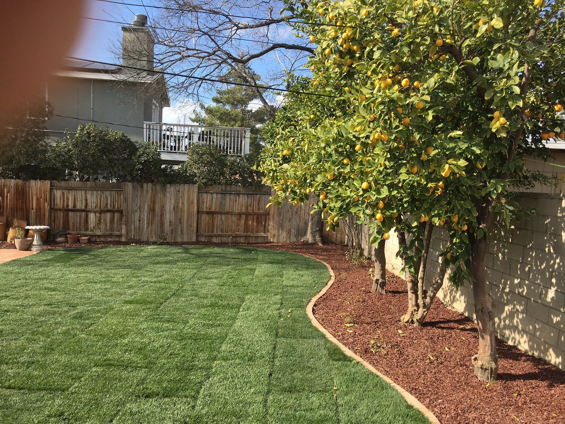 A backyard with a fence , trees and a bench.