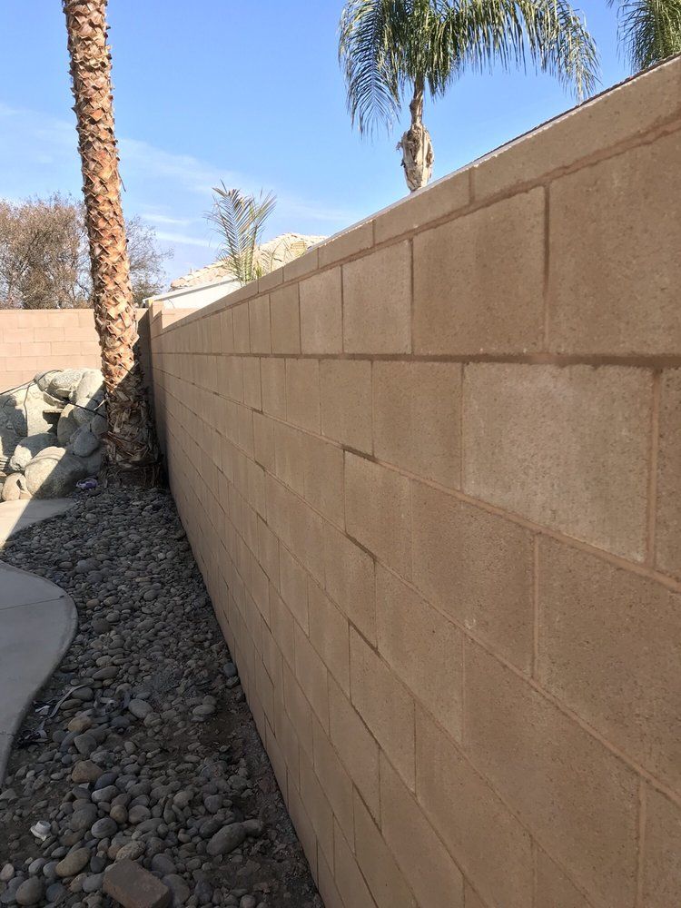 A brick wall with a palm tree in the background